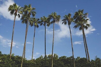 enterprise software showcase orlando