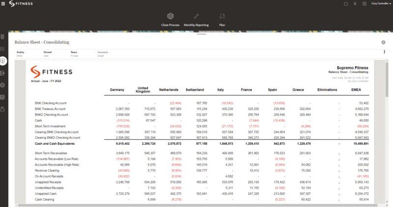 Oracle Fusion Cloud ERP's balance sheet consolidation, broken down by country